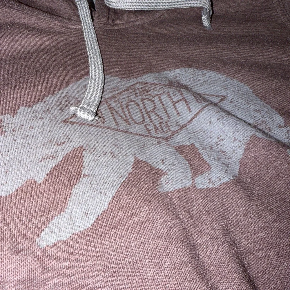 The North‎ Face Men's M Pullover Hoodie Classic Sweatshirt Faded Purple/Gray